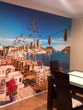 Wall Graphic